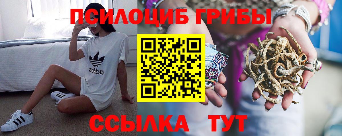 Псилоцибиновые грибы Cubensis Коломна
